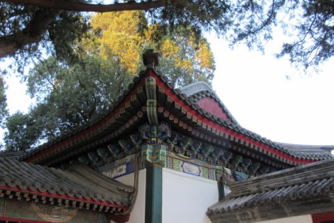 China that stole my heart